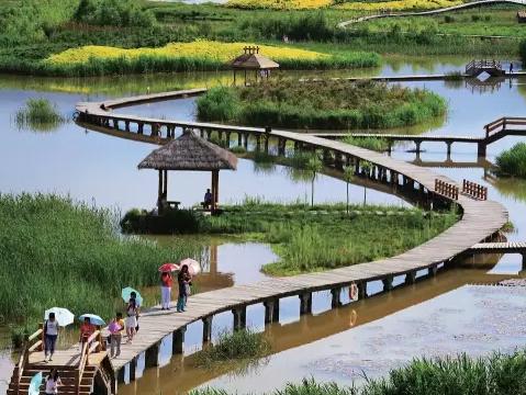 三江湿地位于抚河,宜黄河(临水),凤岗河三江交汇处,紧邻梦湖.