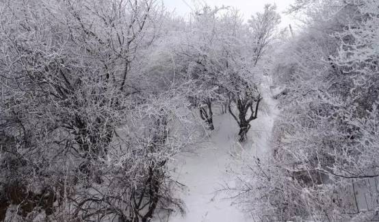 什么雪皑皑成语_雪之下雪乃