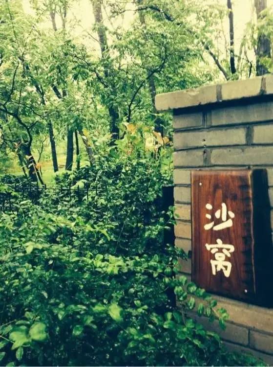 中牟沙窝森林公园 郑州周边的世外桃源