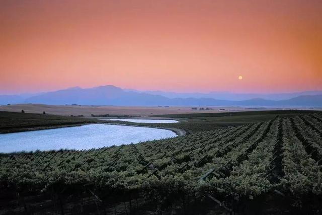南非葡萄酒新手入门指南20斤葡萄做多少葡萄