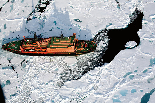 南极北极环境描写