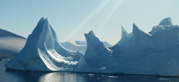 南极北极环境描写