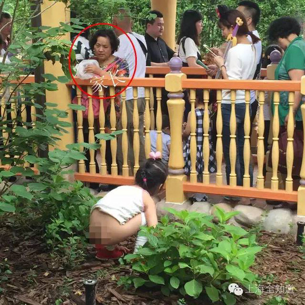 家长纵容女孩在上海迪士尼随地大便!被一外国人拍下.
