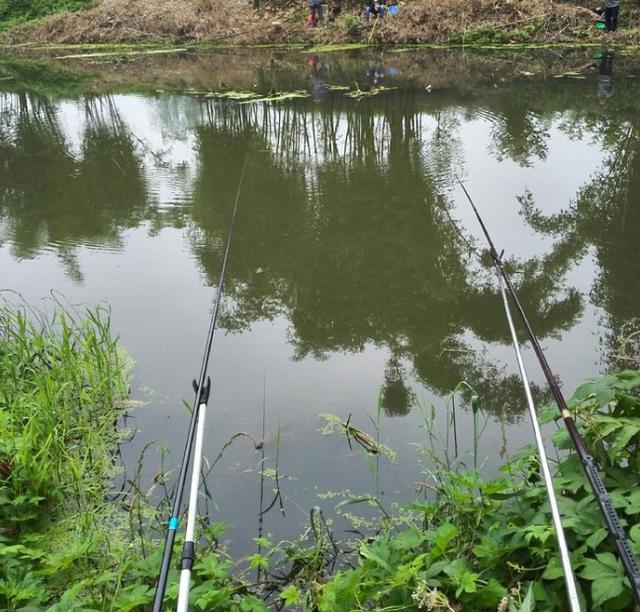 河边野钓,水流鸟鸣,如此野钓岂不快哉!