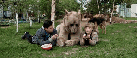 这对儿夫妇真的养了一个熊孩子,真的是熊!孩!子