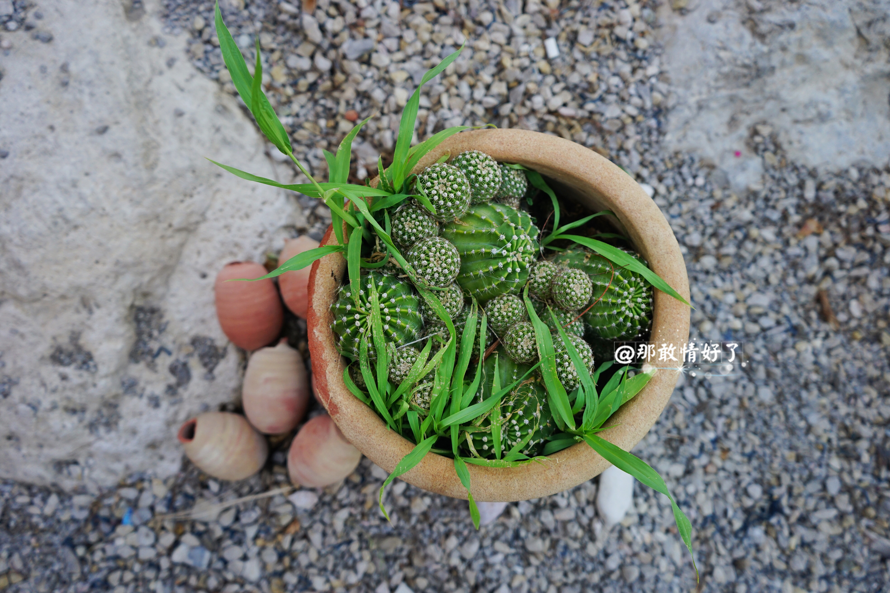 以色列｜大漠荒原，绿洲天堂，超出想象的以色列之美