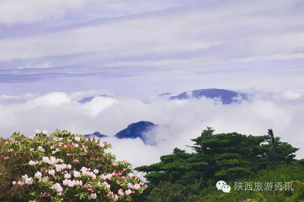 【关注】柞水:搭上全域旅游的快车