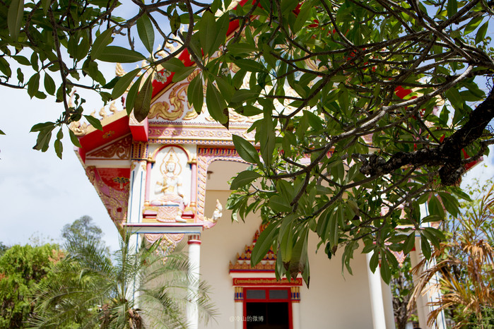 普吉岛,南国有庙--海龙寺