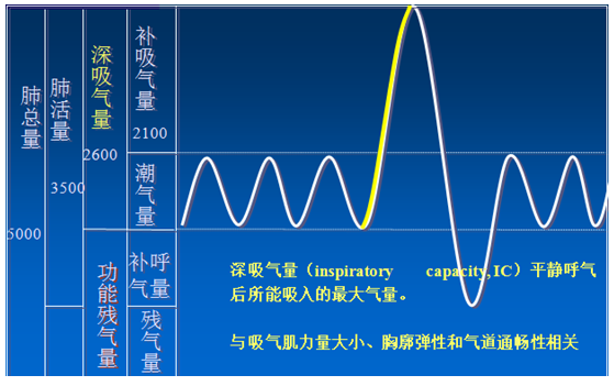 肺功能报告如何解读