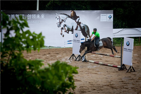 专业马术表演