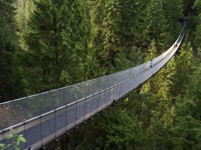 悬索桥采用了传统尼泊尔绳索桥的建造模式,是阿尔卑斯山中最长也是最