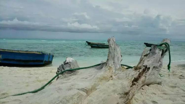 青岛人在路上|西沙归来不看海!听,那是南海的潮汐!