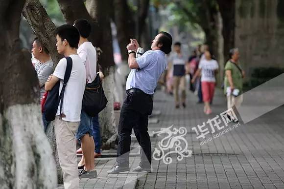 高考第一天 直击各地考场_高考考场每个考场多少人_各地高考场景