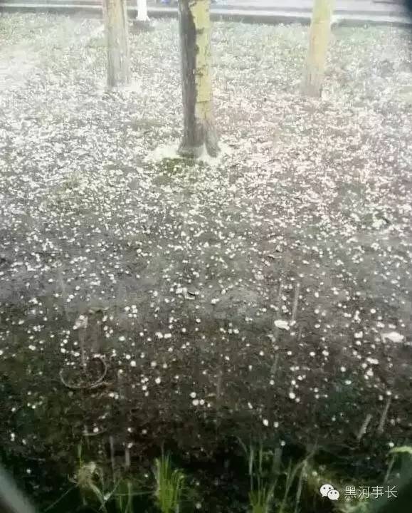 6月下"鸡蛋大冰雹"!砸的满地坑,赶下流星雨了(附实拍