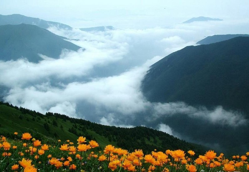 端午节别乱跑!北京周边好玩的地方都在这!