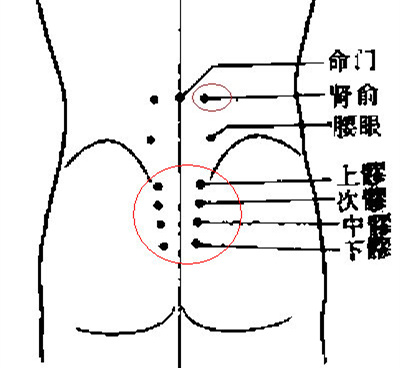 备孕期间可以这么做!_微信热文