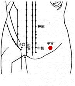 归来穴: 在下腹部,当脐中下4寸