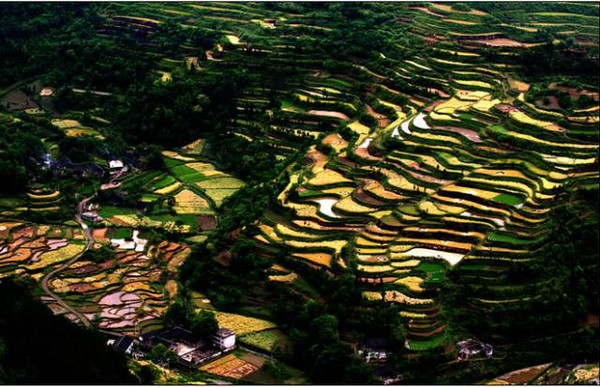 作为"松桃八景"之一的响水泉飞是许多人都熟知的地方,那里层层梯田美