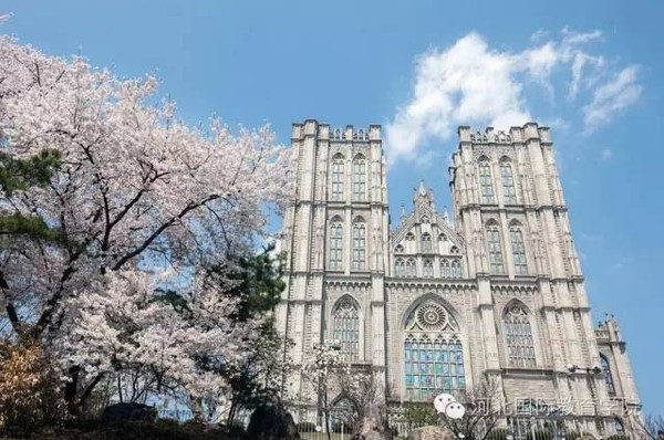 韩国4所大学免费留学项目(河北区)统招面试会