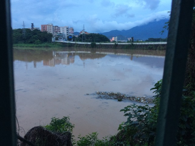 但是近日深圳接连下大雨罗湖水库变成这样了(大望桥摄 文章来自微信