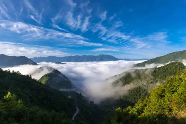 城口县双河乡余坪村,占地面积1500亩,地处八台山国家森林公园和九重山