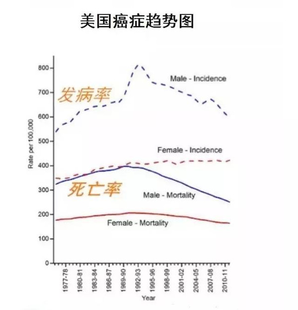 美国人口死亡率_美国的人口死亡率