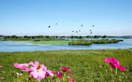 所以沈阳打造了辽河七星湿地公园.