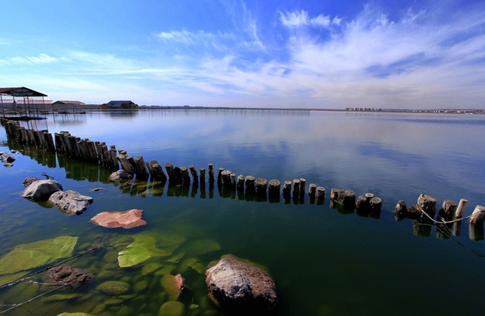 去红海湿地