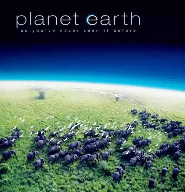 10,地球脉动 planet earth