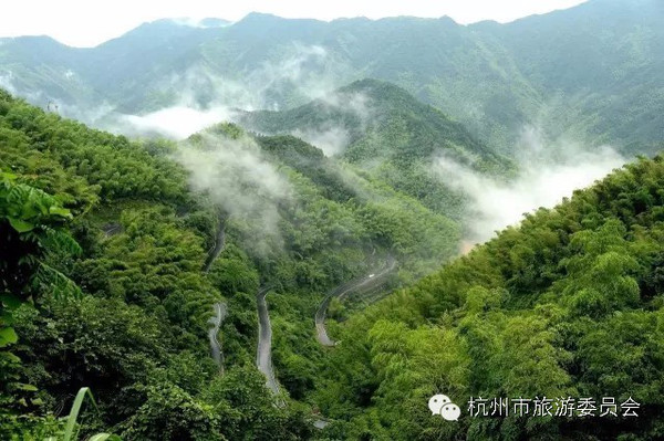 戴村镇云石竹乡 -一道靓丽风景线