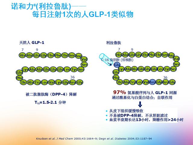 聪明药利拉鲁肽保护胰岛b细胞