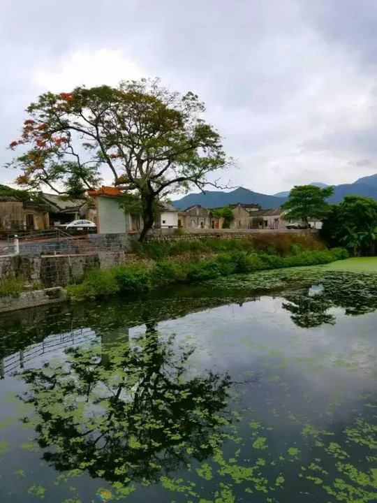 寻找揭阳古村落0202新寮古村胜景人初识