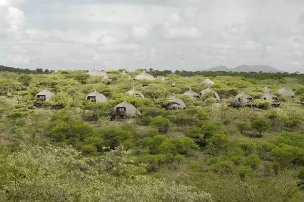 底\/巨石,坦桑尼亚顶级safari酒店合集?|小地球旅