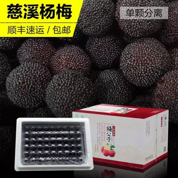 待成熟时的品质和养分均匀输送; ⒉慈溪杨梅的成熟期一般在6月中旬