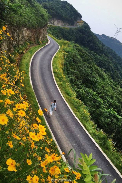 宁波有条最美公路,看过的人都美醉了!风车,花海,云雾