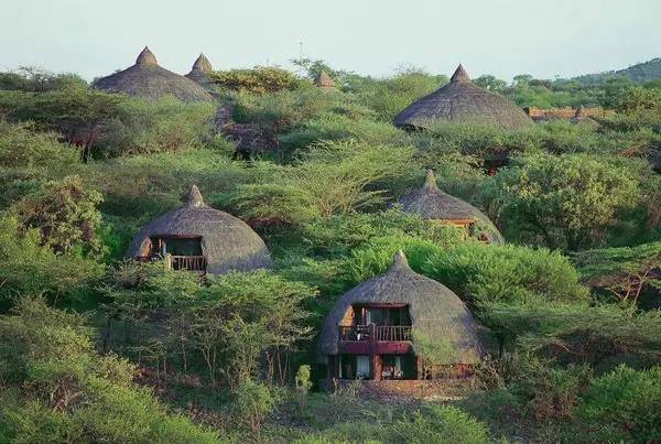 底\/巨石,坦桑尼亚顶级safari酒店合集?|小地球旅