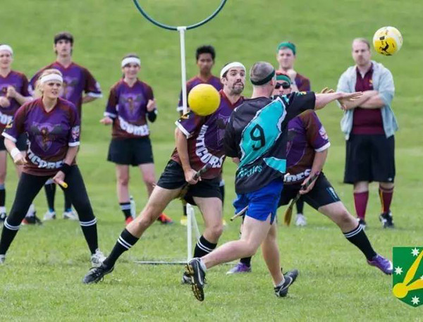 青春靓丽的高中魁地奇队(high school quidditch)