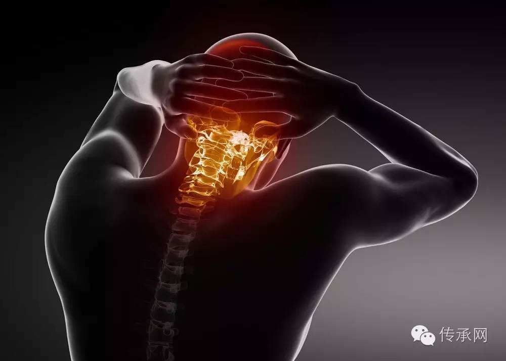 养生文化:脊椎是人体自愈力的金钥匙