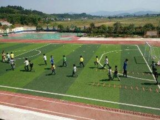 吴细星:将永宁小学变成长寿学区的足球训练基地