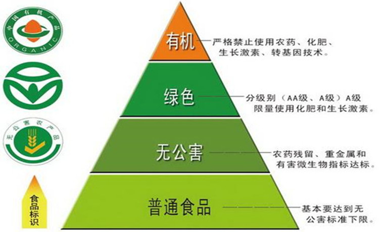 四川叙永县有多少gdp_叙永县2019年国民经济和社会发展统计公报(3)