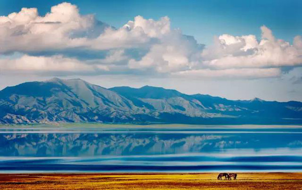 到新疆旅游到底要花多少钱?
