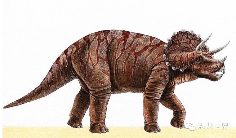 三角龙:犀牛一样的白垩纪食草恐龙