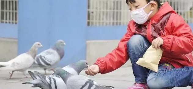 紧急通知!天津市确诊2例人感染H7N9禽流感病