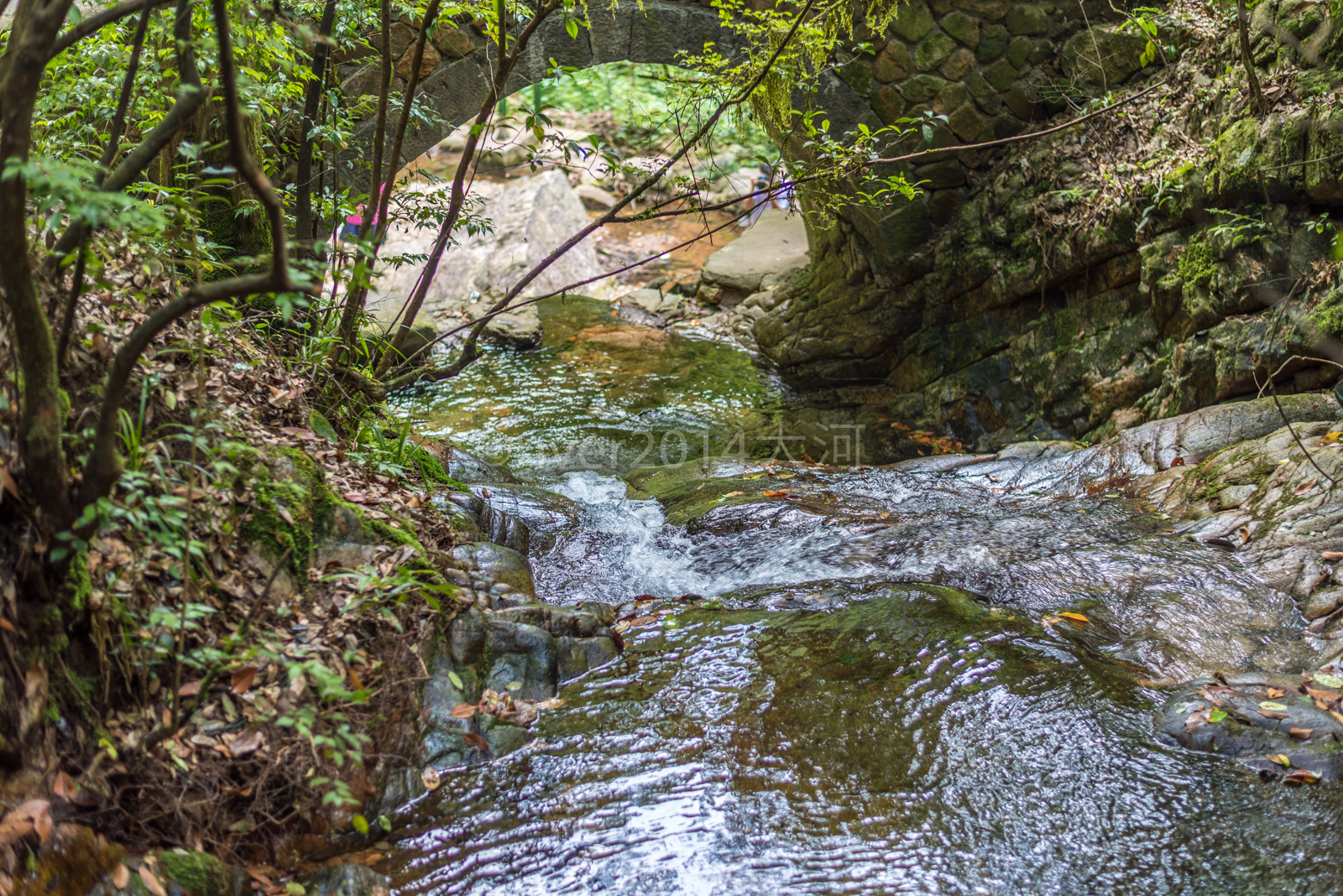 千岛湖森林氧吧,可以深呼吸的地方【夏天这样玩】