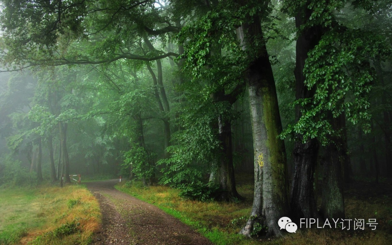 知名的自然风光旅游胜地——odenwald,这是一个悠久的自然榉木林区