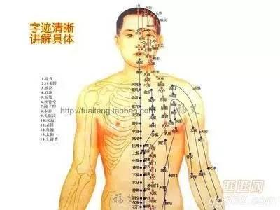 【养生口诀】会动的经络图,一文读懂14条经络