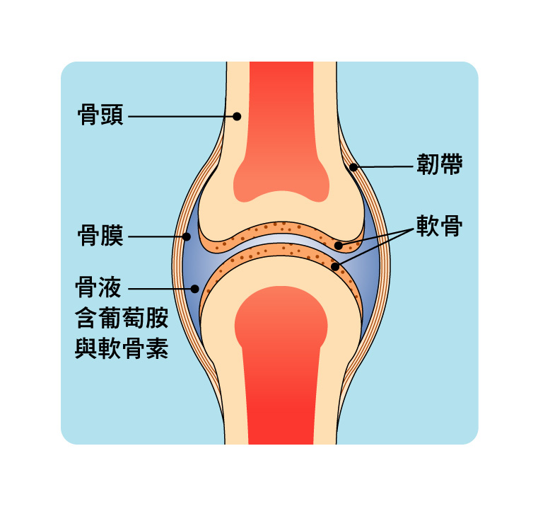 关节滑液_关节滑液减少