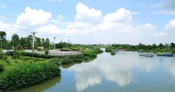 白云湖湿地公园,海鸥岛红树林湿地公园,凤凰湖湿地公园,挂绿湖湿地