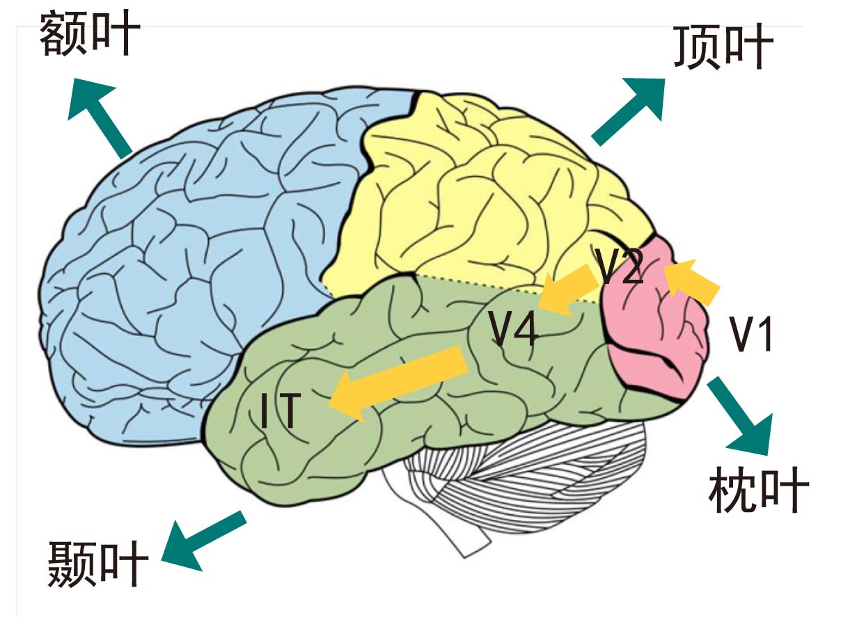 会觉人口_人口普查(2)