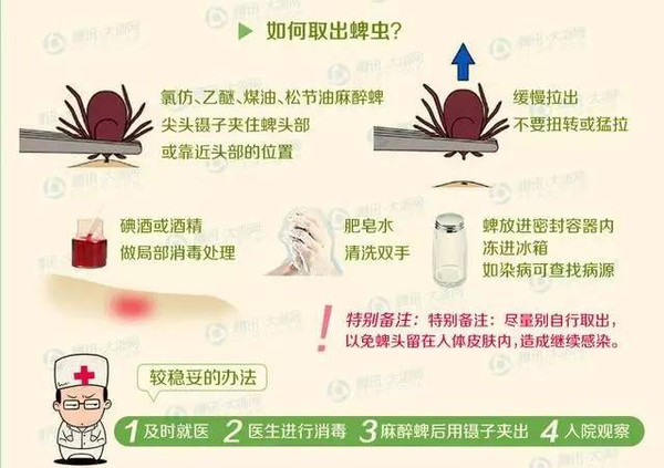 西苑科普?|?小小皮肤病能致多人身亡,米粒大的